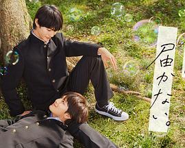 露脸高质量视频海报剧照